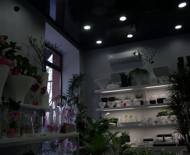 Натяжной потолок в магазине флористики | Портфолио 5Plus | Киев ⋆ Днепр ⋆