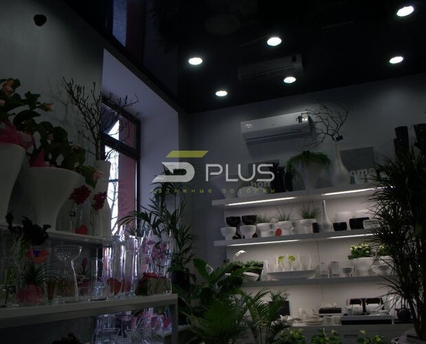 Натяжной потолок в магазине флористики | Портфолио 5Plus | Киев ⋆ Днепр ⋆