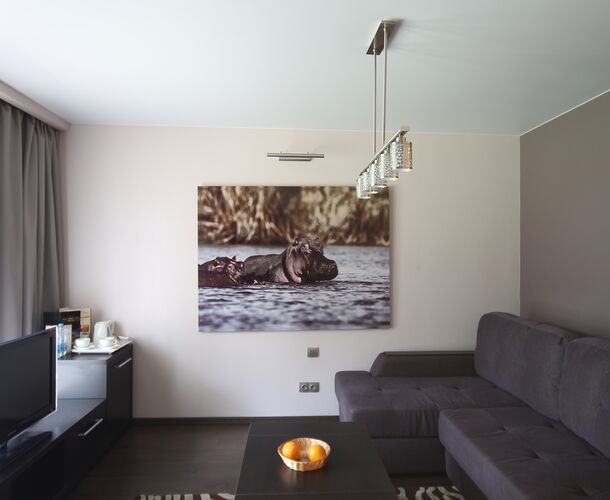 Комплекс натяжных потолков Club Bartolomeo | Портфолио 5Plus | Киев ⋆ Днепр ⋆