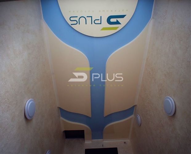 Тематический натяжной потолок | Портфолио 5Plus | Киев ⋆ Днепр ⋆