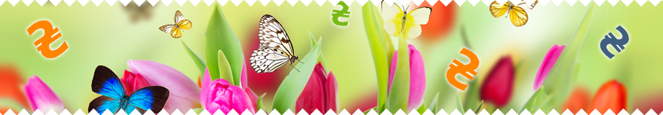 Фотопечать по антикризисным ценам | Акция 5Plus | Киев ⋆ Днепр ⋆