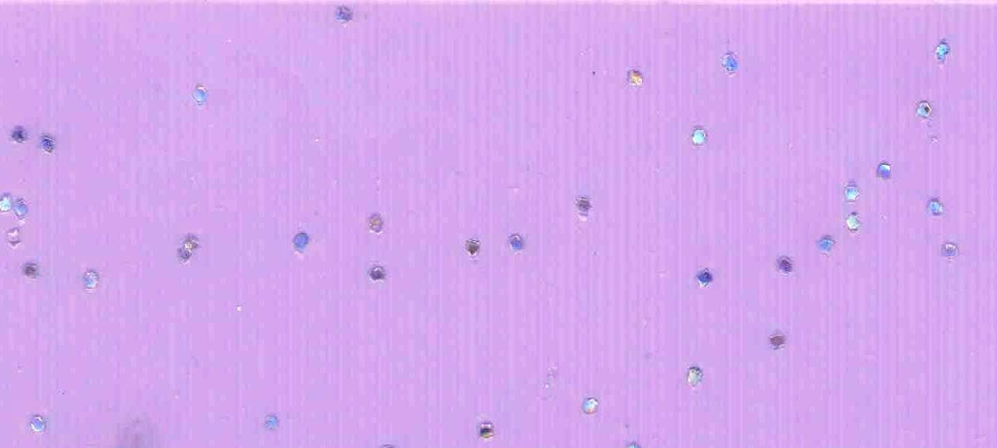 Изображение активного раздела