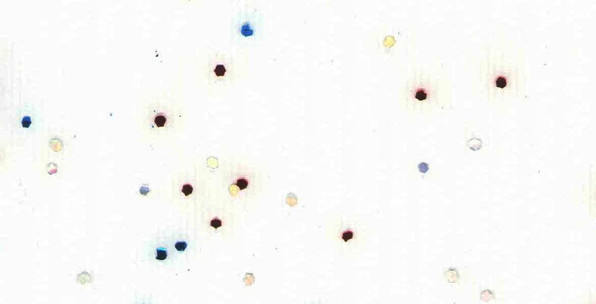 Изображение активного раздела