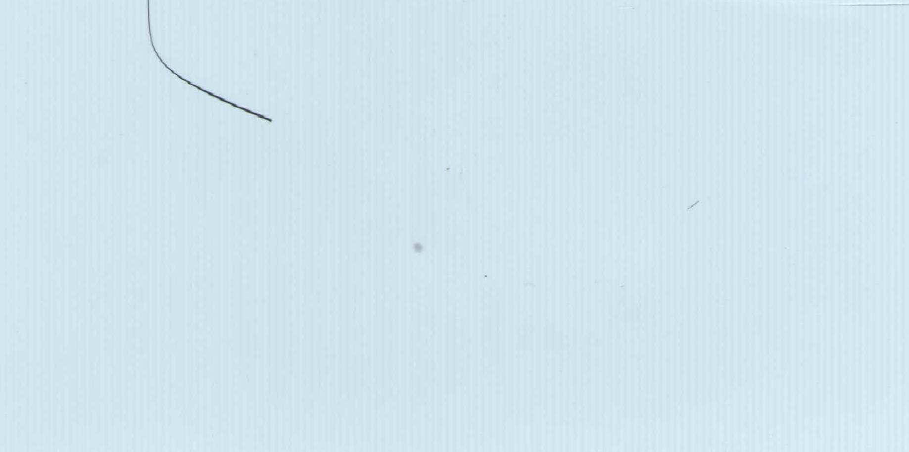 Изображение активного раздела