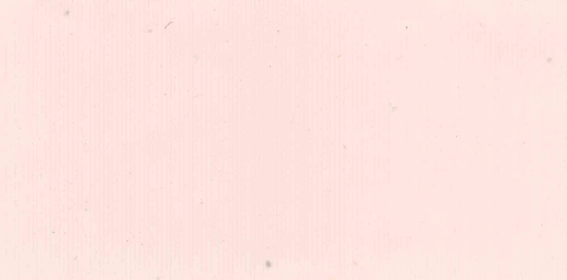 Изображение активного раздела