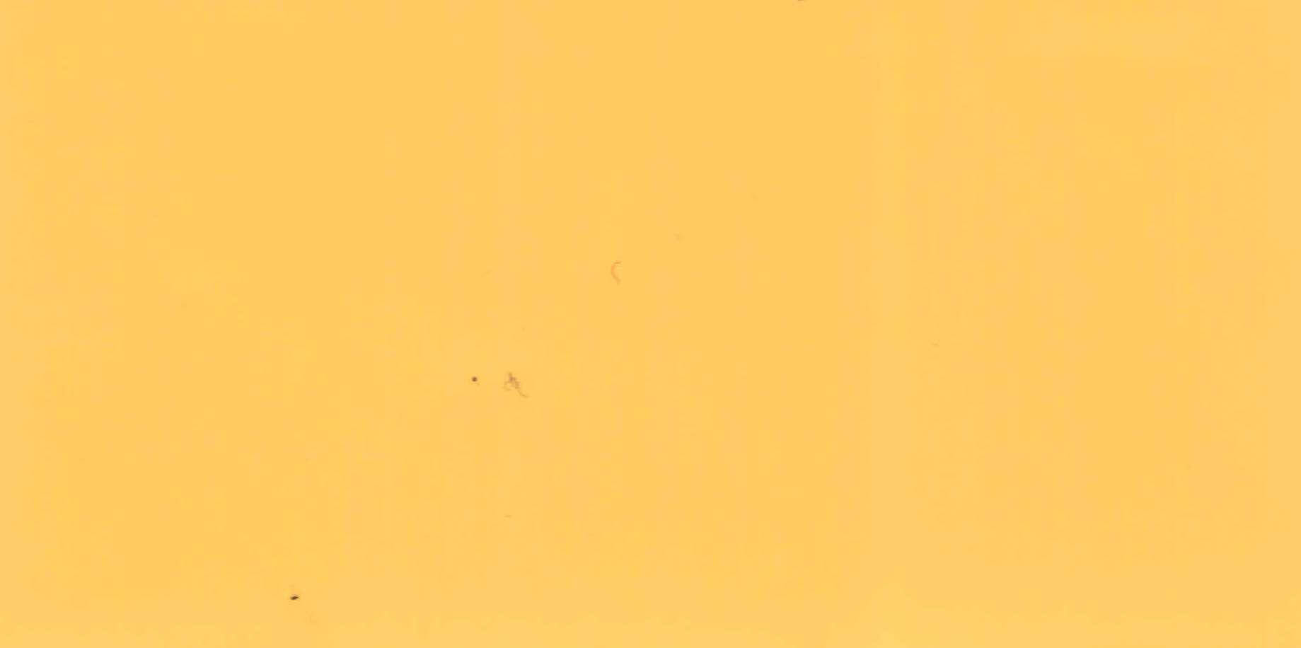 Изображение активного раздела