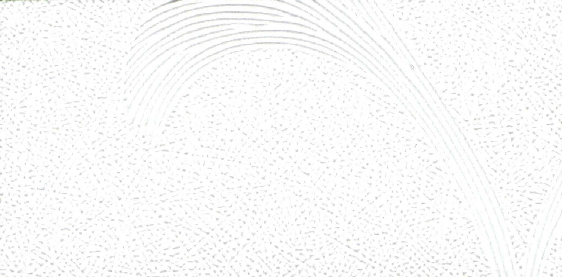 Изображение активного раздела