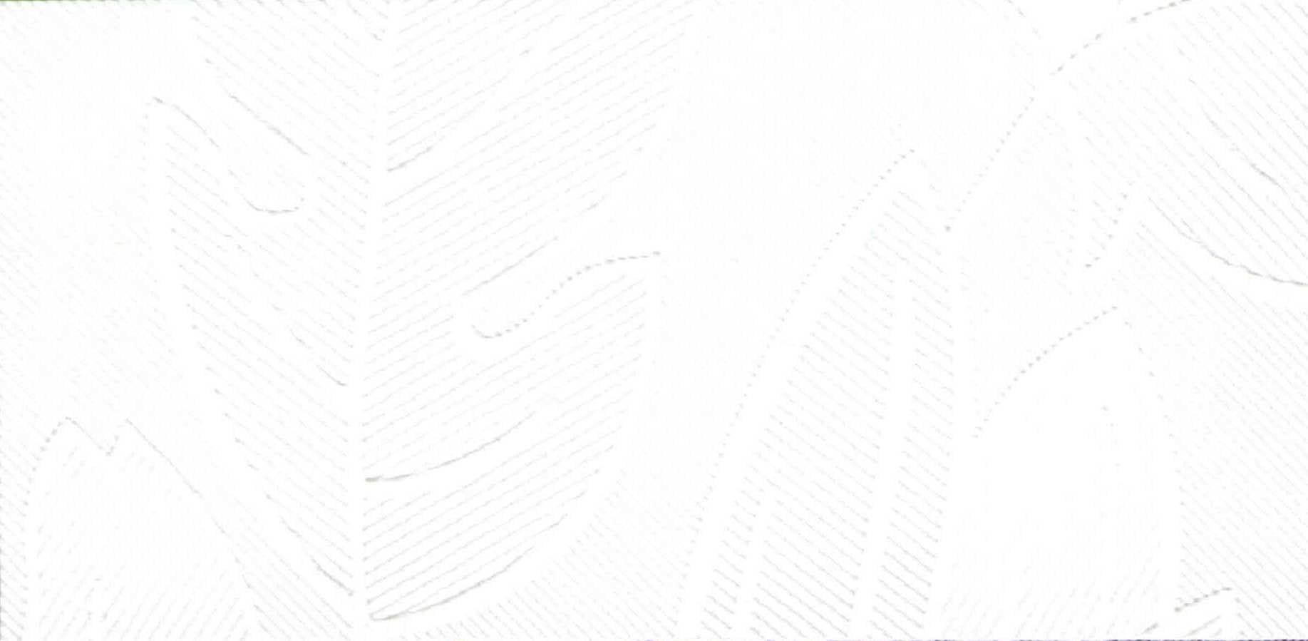 Изображение активного раздела