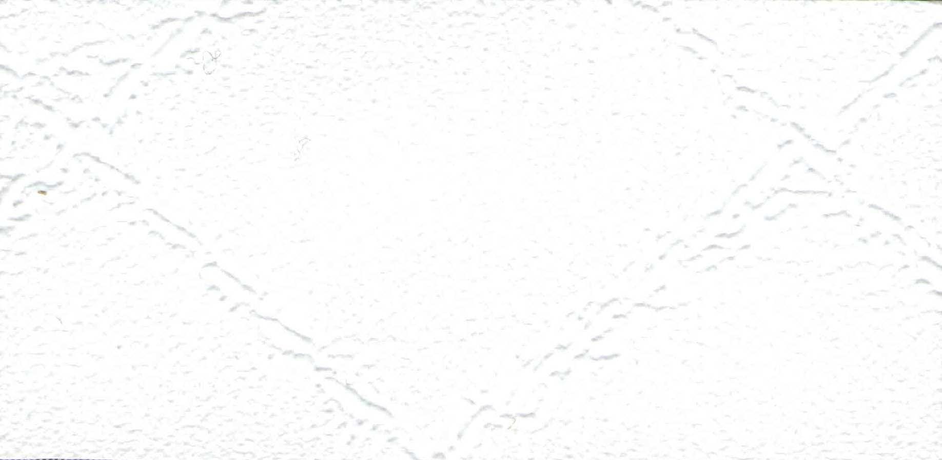 Изображение активного раздела