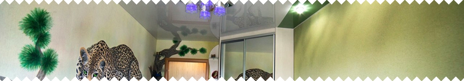 Натяжные потолки с криволинейным швом | Установка 5Plus | Киев ⋆ Днепр ⋆