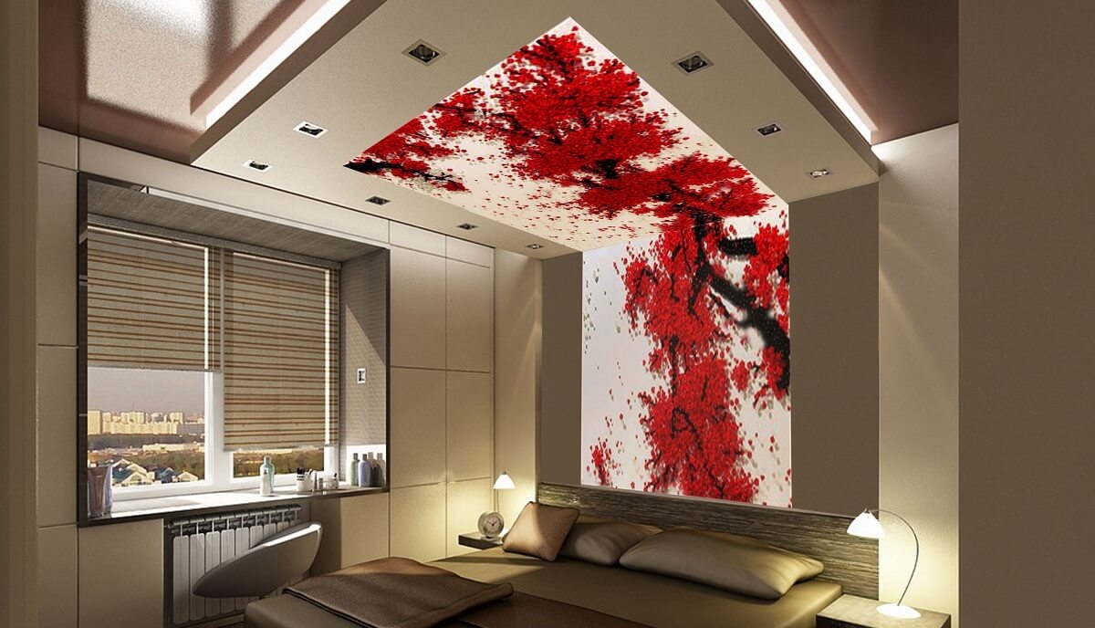 Изображение 3