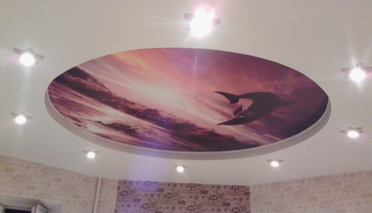 Изображение 3