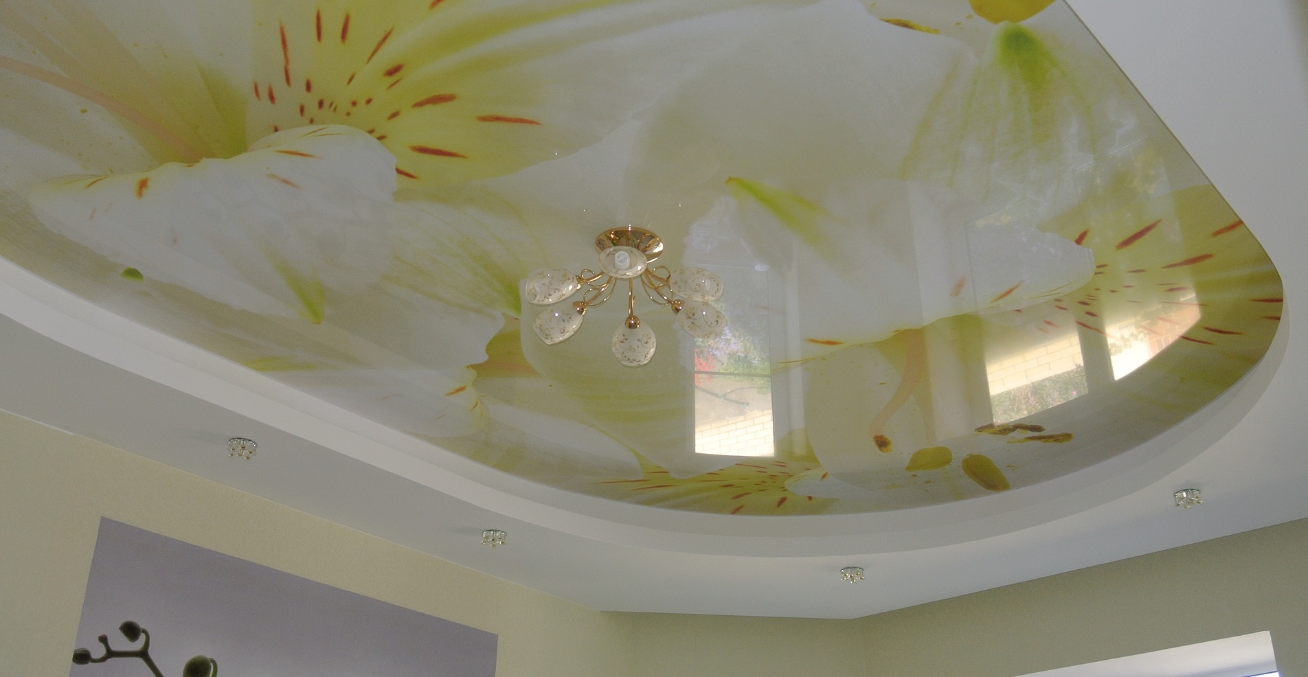 Изображение слайда 1